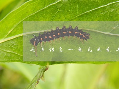 违法信息一般几天发送来 违法信息一般几天发送来
