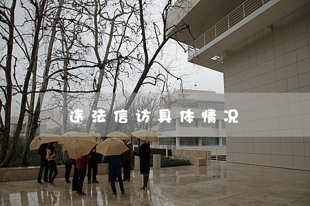 违法信访具体情况