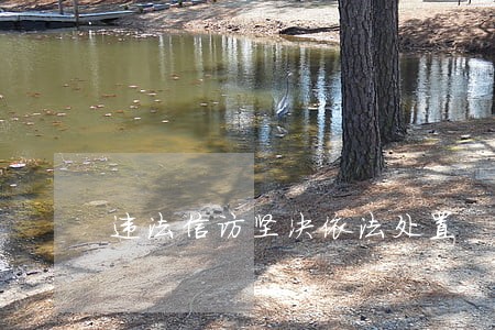 违法信访坚决依法处置 违法信访坚决依法处置