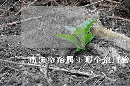违法修路属于哪个部门管理