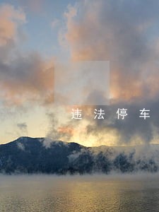 违法停车一年处理 违法停车一年处理