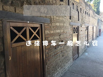 违法停车一般怎么罚 违法停车一般怎么罚