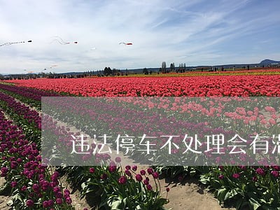 违法停车不处理会有滞纳金吗 违法停车不处理会有滞纳金吗