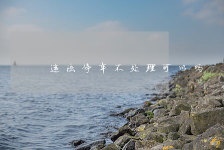 违法停车不处理可以吗 违法停车不处理可以吗