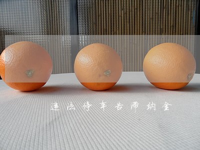 违法停车告滞纳金 违法停车告滞纳金