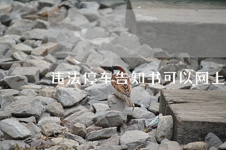 违法停车告知书可以网上交罚款吗 违法停车告知书可以网上交罚款吗