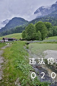 违法停车告知单上有违章代码吗/2023020541160 违法停车告知单上有违章代码吗/2023020541160