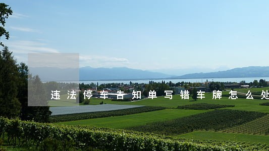 违法停车告知单写错车牌怎么处理 违法停车告知单写错车牌怎么处理