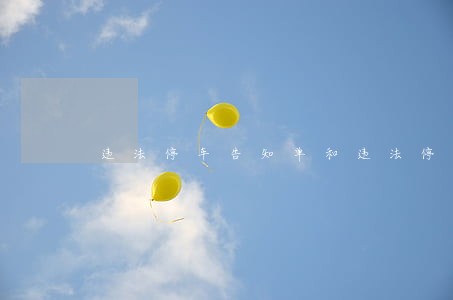 违法停车告知单和违法停车罚款单 违法停车告知单和违法停车罚款单