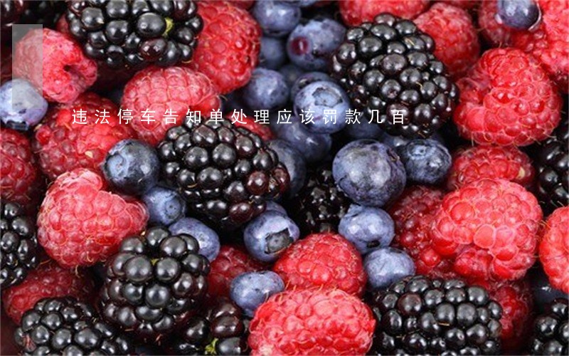 违法停车告知单处理应该罚款几百 违法停车告知单处理应该罚款几百