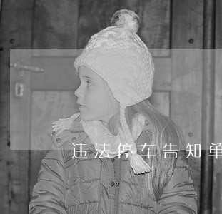 违法停车告知单复议方被贴 违法停车告知单复议方被贴