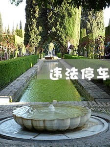 违法停车告知单查询不到 违法停车告知单查询不到