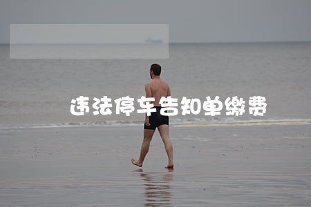 违法停车告知单缴费 违法停车告知单缴费