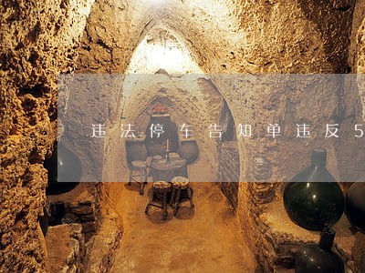 违法停车告知单违反56条