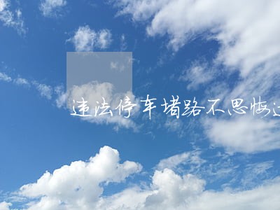 违法停车堵路不思悔过 违法停车堵路不思悔过