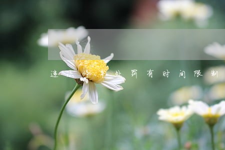 违法停车处罚有时间限制吗
