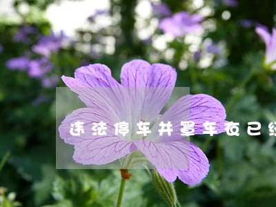 违法停车并罩车衣已经涉嫌违章 违法停车并罩车衣已经涉嫌违章