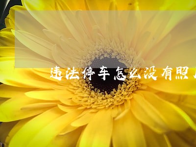 违法停车怎么没有照片