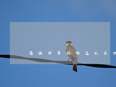 违法停车抓拍怎么区分 违法停车抓拍怎么区分