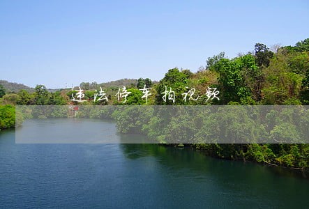 违法停车拍视频 违法停车拍视频