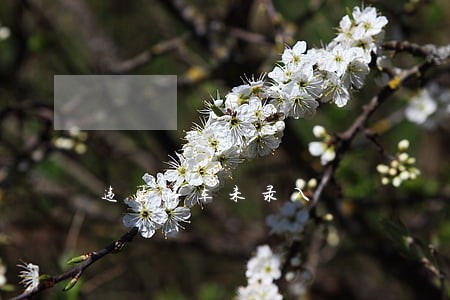 违法停车未录入 违法停车未录入