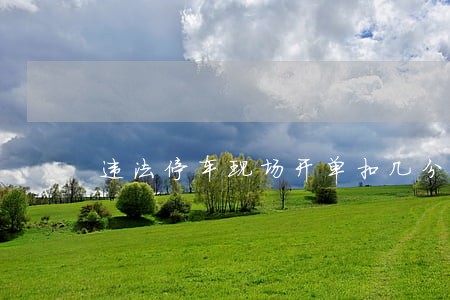 违法停车现场开单扣几分 违法停车现场开单扣几分