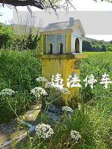 违法停车的法律