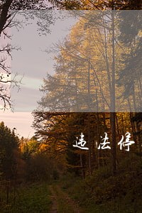 违法停车第五十条是什么 违法停车第五十条是什么