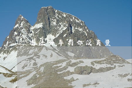 违法停车罚你没商量