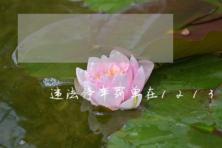 违法停车罚单在1213上怎么交