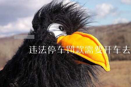 违法停车罚款需要开车去