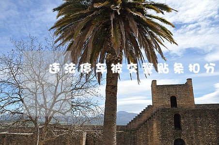 违法停车被交警贴条扣分吗 违法停车被交警贴条扣分吗