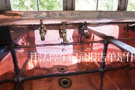 违法停车记录报告单是什么意思 违法停车记录报告单是什么意思