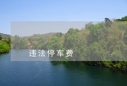违法停车费 违法停车费