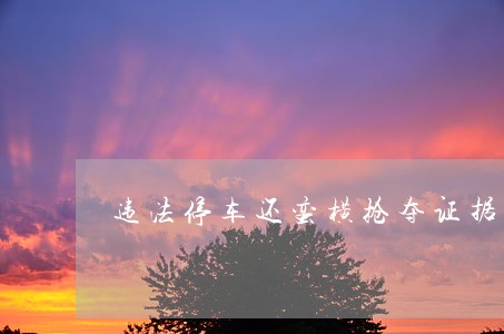 违法停车还蛮横抢夺证据采集设备 违法停车还蛮横抢夺证据采集设备