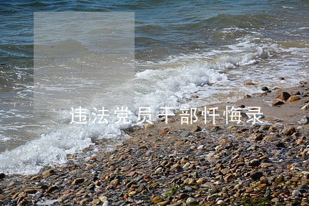 违法党员干部忏悔录 违法党员干部忏悔录