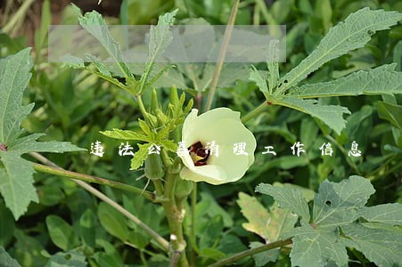 违法公墓清理工作信息 违法公墓清理工作信息