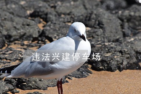 违法兴建停车场 违法兴建停车场