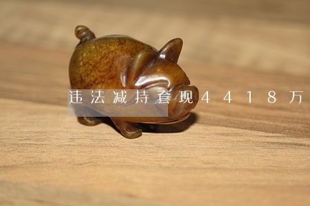 违法减持套现4418万 违法减持套现4418万