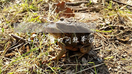 违法出售的问题举报
