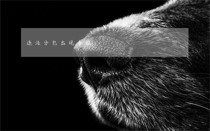 违法分包出现事故 违法分包出现事故