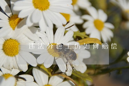 违法分包工伤如何赔偿 违法分包工伤如何赔偿