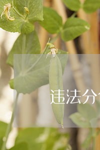 违法分包整改措施