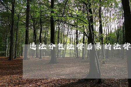 违法分包法律后果的法律规定