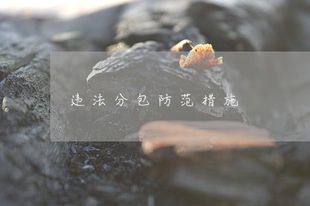 违法分包防范措施