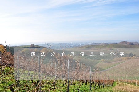 违法分子应该是哪个字 违法分子应该是哪个字