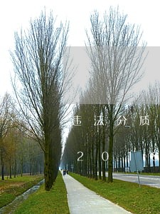 违法分质量修复包总责任比例/2023020186525 违法分质量修复包总责任比例/2023020186525