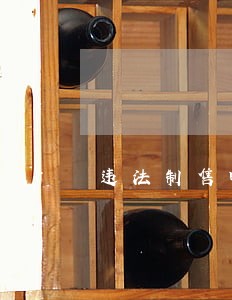 违法制售电动车假牌照 违法制售电动车假牌照