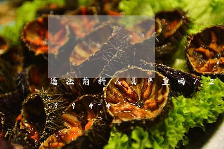 违法前科人员严重吗/2023020339944 违法前科人员严重吗/2023020339944