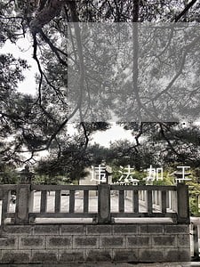违法加工倒卖陈化粮 违法加工倒卖陈化粮
